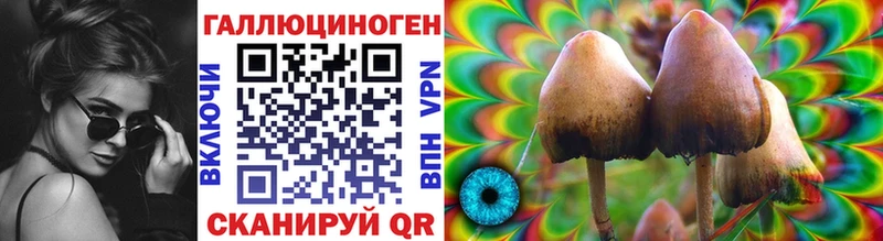 как найти закладки  Нижний Тагил  Псилоцибиновые грибы Psilocybine cubensis 